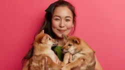 Anjing Bahagia? Rahasia Terungkap: Cek Tidur & Perilakunya