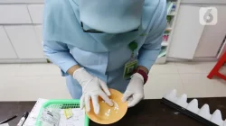 Atasi GERD Secara Alami: 3 Obat Ampuh & Cara Pakainya