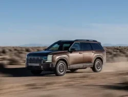Hyundai Palisade: Masalah Suspensi Picu Gugatan Pemilik Mobil