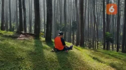 Lingkungan Rusak? 4 Dampaknya Bagi Kesehatan Anda!