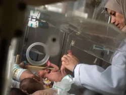 Tragedi Gaza: 580 Bayi Prematur Terancam Kematian